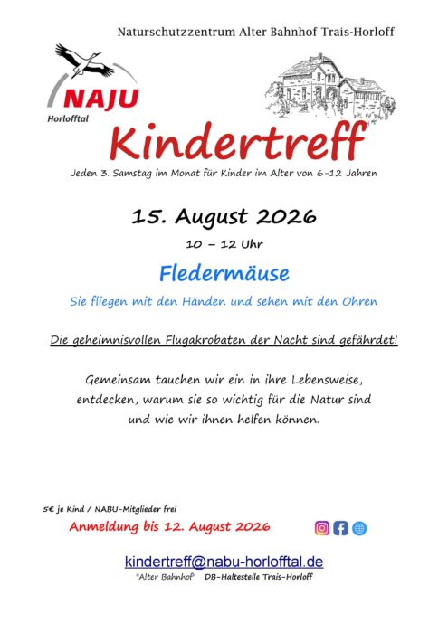 Fledermäuse