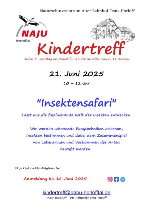 Insektensafari