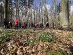 <strong>Waldwildnisgebiet im Stadtwald Hungen ist Meilenstein des Arten- und Klimaschutzes</strong>